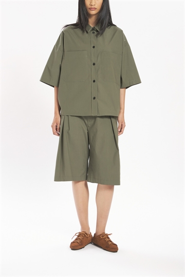 Barena Venezia Amado Oliva